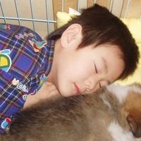 太らない部屋