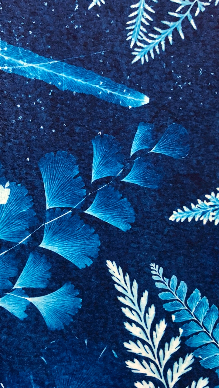 叢林找＊職人藍曬討論群