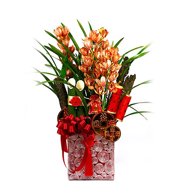 幸福婚禮小物❤東亞蘭花盆栽❤ 新年祝賀/過年送禮/應景盆栽