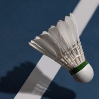 與乾媽有約🏸