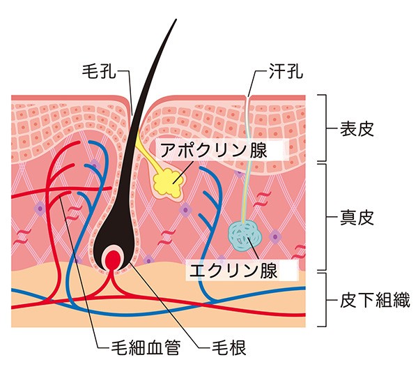 難読漢字 天晴 ってどんな天気 霖 俄雨は