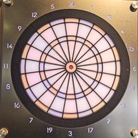 NTSU DARTS 國體飛鏢