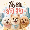 高雄狗狗聚會