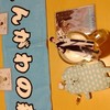 🍻17thひなた坂LIVE感想戦オプチャ