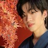 森愁斗君の写真保存室！！