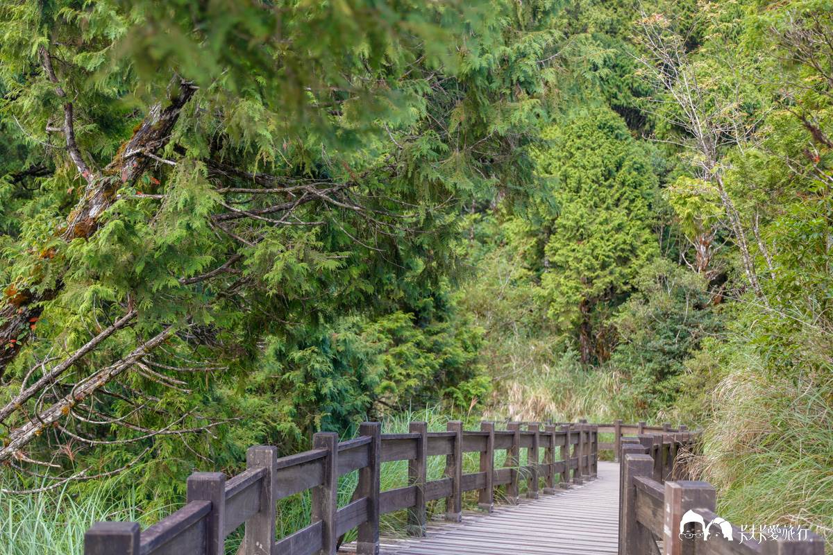 宜蘭不只抹茶山！８條私房步道衝打卡：CNN全球最美、瀑布祕境、15分鐘登頂