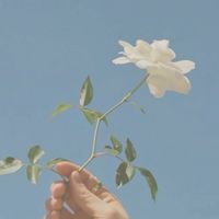 歌枠しよ～う♪