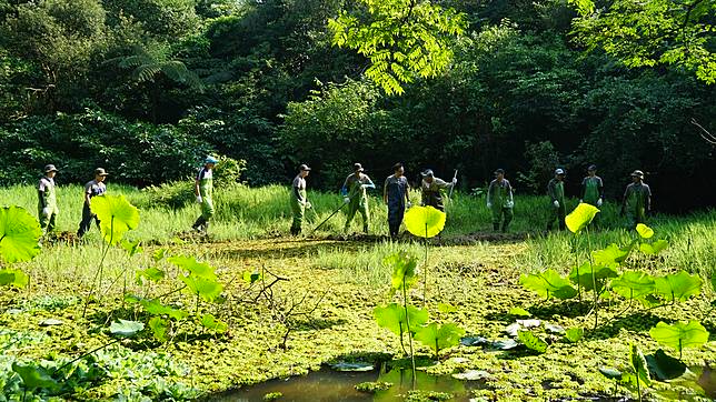 原本競爭激烈 為了生物多樣性彼此合作日本企業讓保育成為主流 環境資訊中心 Line Today