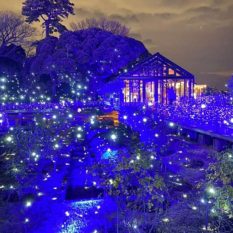 写真 ライフ 川崎大島店 ライフ カワサキオオシマテン 大島 港町駅 スーパー By Line Place