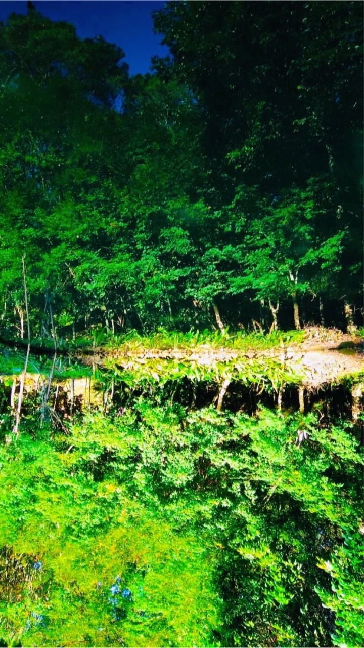 五指山小菜園