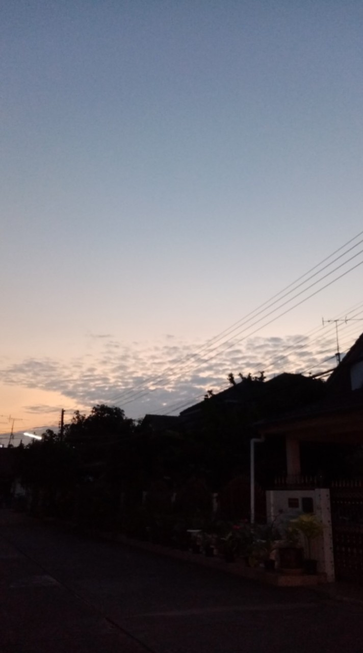 รวมแก็ง โรจนะการ์เด้น​