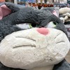 D-6-7  臺灣學全球探索 島語發聲