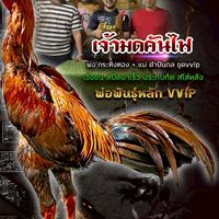 ซุ้ม แก้วเหนือเมฆ ก๋อยง่อนเมืองสองเล