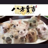 梗梗幫