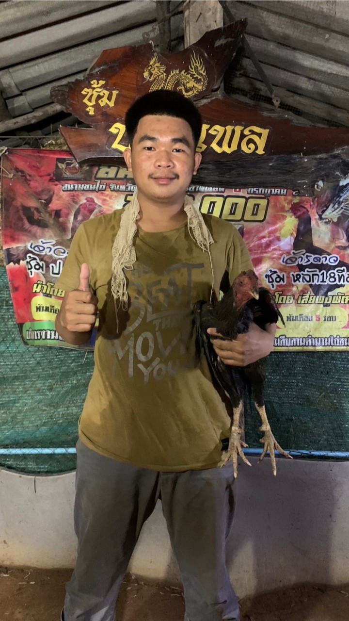 ซุ้มป.ธนพล❤️🐓(ดากเจ้าคือเป้าหมาย)