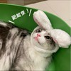 LUCN 罐頭,飼料囤貨區|用品精選預購|主食罐,飼料,餐包批發價|玩具,用品精選