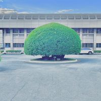 國泰人壽郭大維-VIP保戶保險交流園地