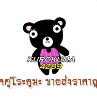 พรีออเดอร์ขายส่งราคาถูก