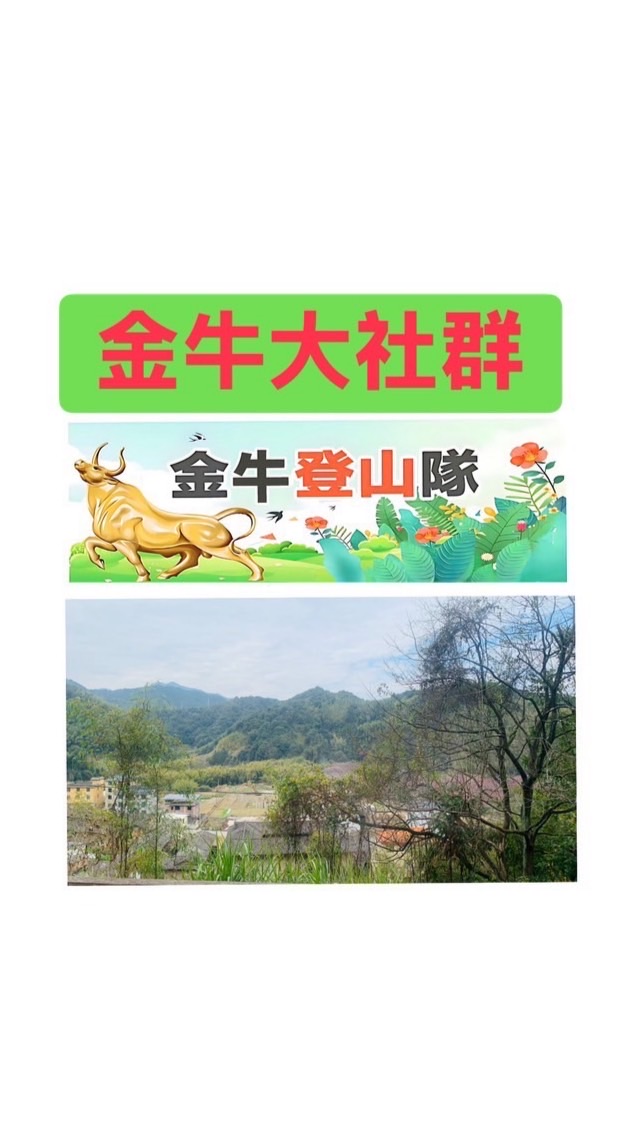 金牛登山隊