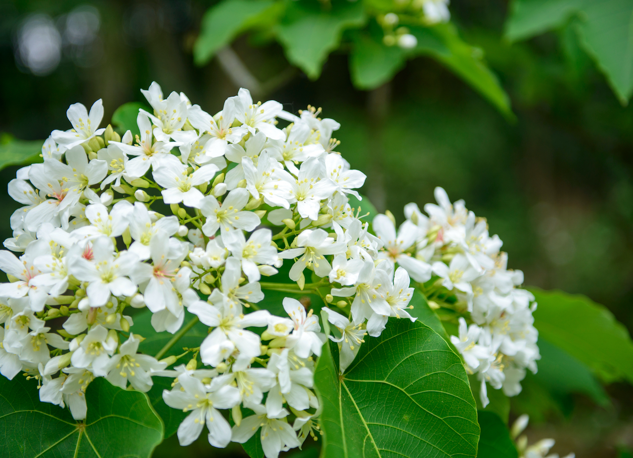 圖片來源/shutterstock.com