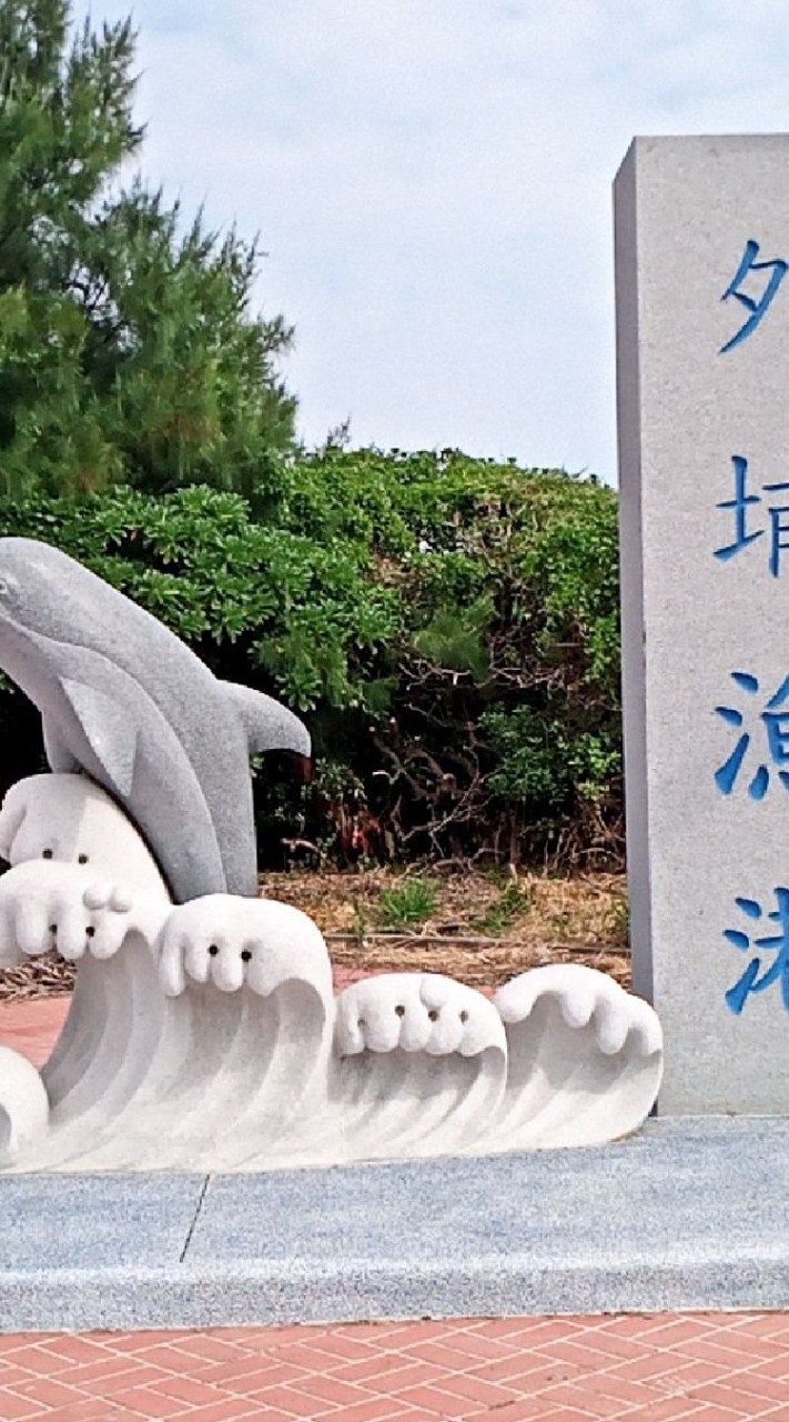 時尚龍貓高強度單車社團