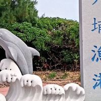 時尚龍貓高強度單車社團