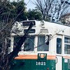 京都教育大学附属桃山小学校　6年