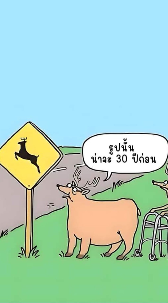 รวมตัวอัศวินรัตติกาล