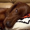 スーの知らない世界…///♥️
