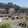 福岡大学新入生サークルを共有