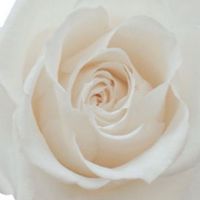 🟣💠JPFA認定校、認定教室、登録教室、代理店💠🟣