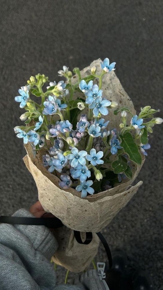 造花のような夢を　ꫂ ၴႅၴ　全也 特殊ハント