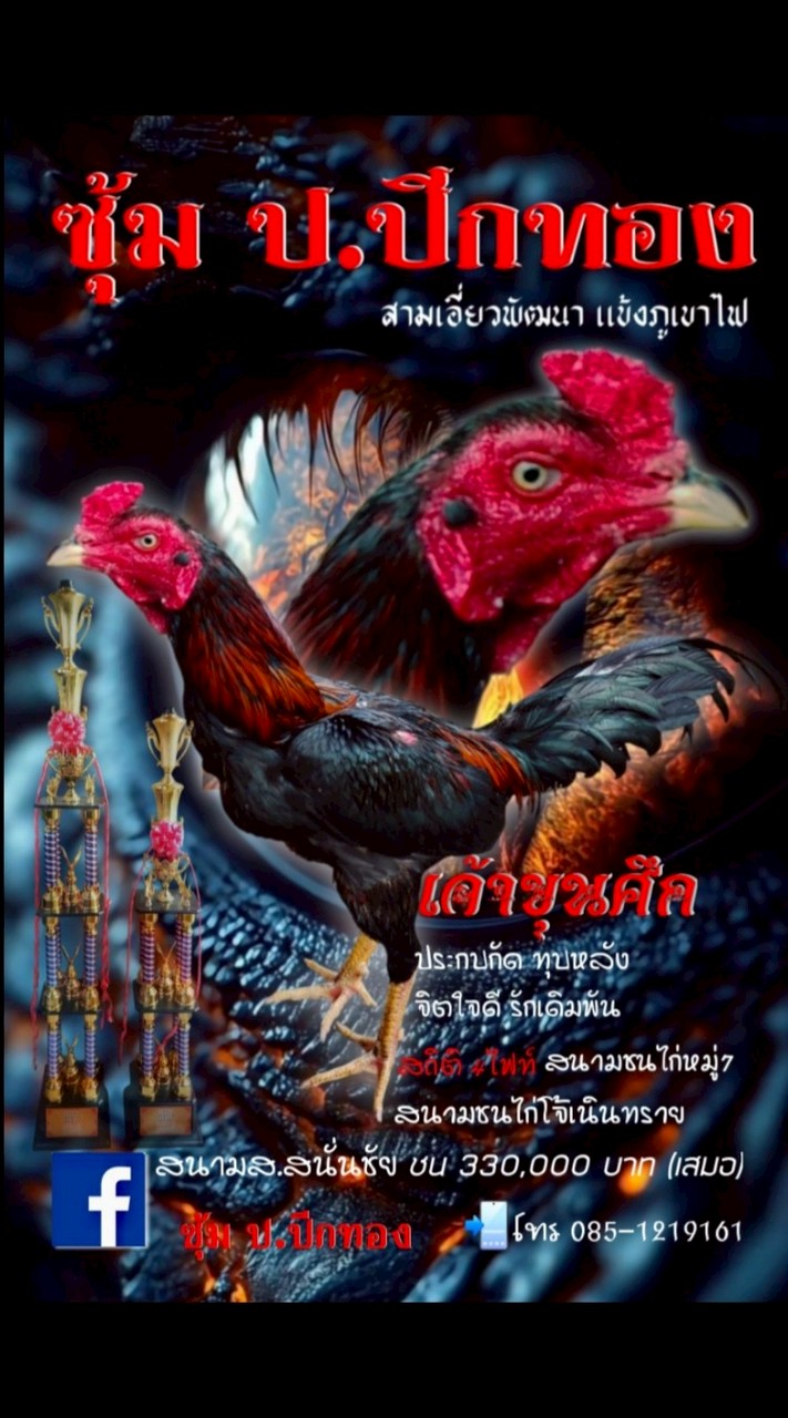 เพื่อนไก่ชน