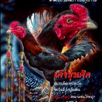 เพื่อนไก่ชน