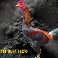 ซุ้ม พี.เค.หลวงทิมฟาร์ม