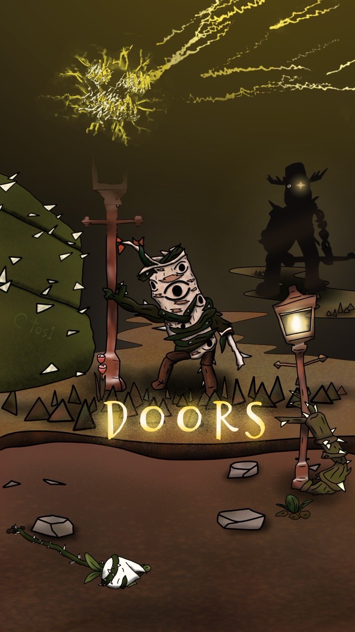 DOORS