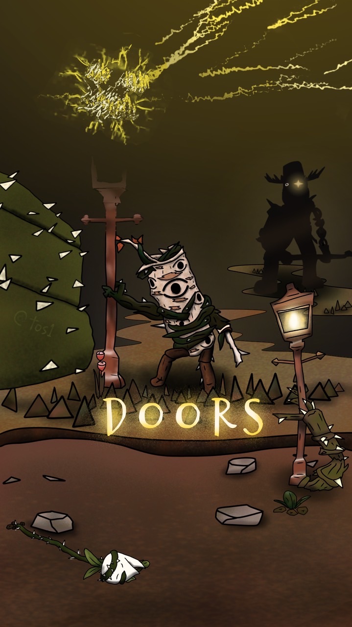 DOORS