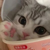 คนชอบแมวเหมียว🐱