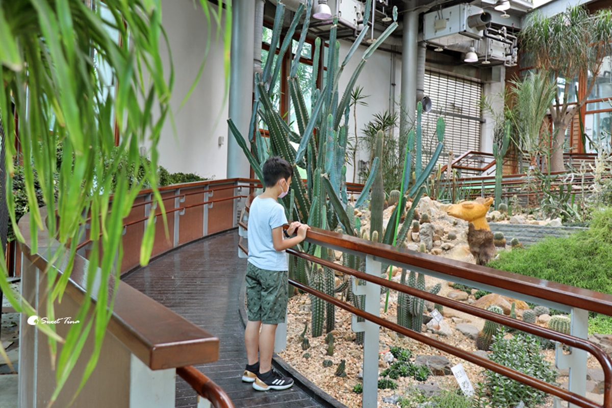 台北免費景點推薦！６處公園、室內景點必衝：台北最長溜滑梯、１日小加油員