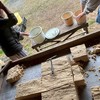 まんまる農園だいず部2026-2027