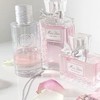 見る専🙆‍♀️生活音room🐰🍼