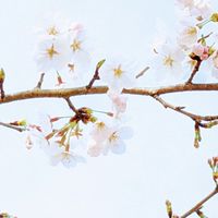 みんなで歌うぞ！　歌に自信ないひともok!