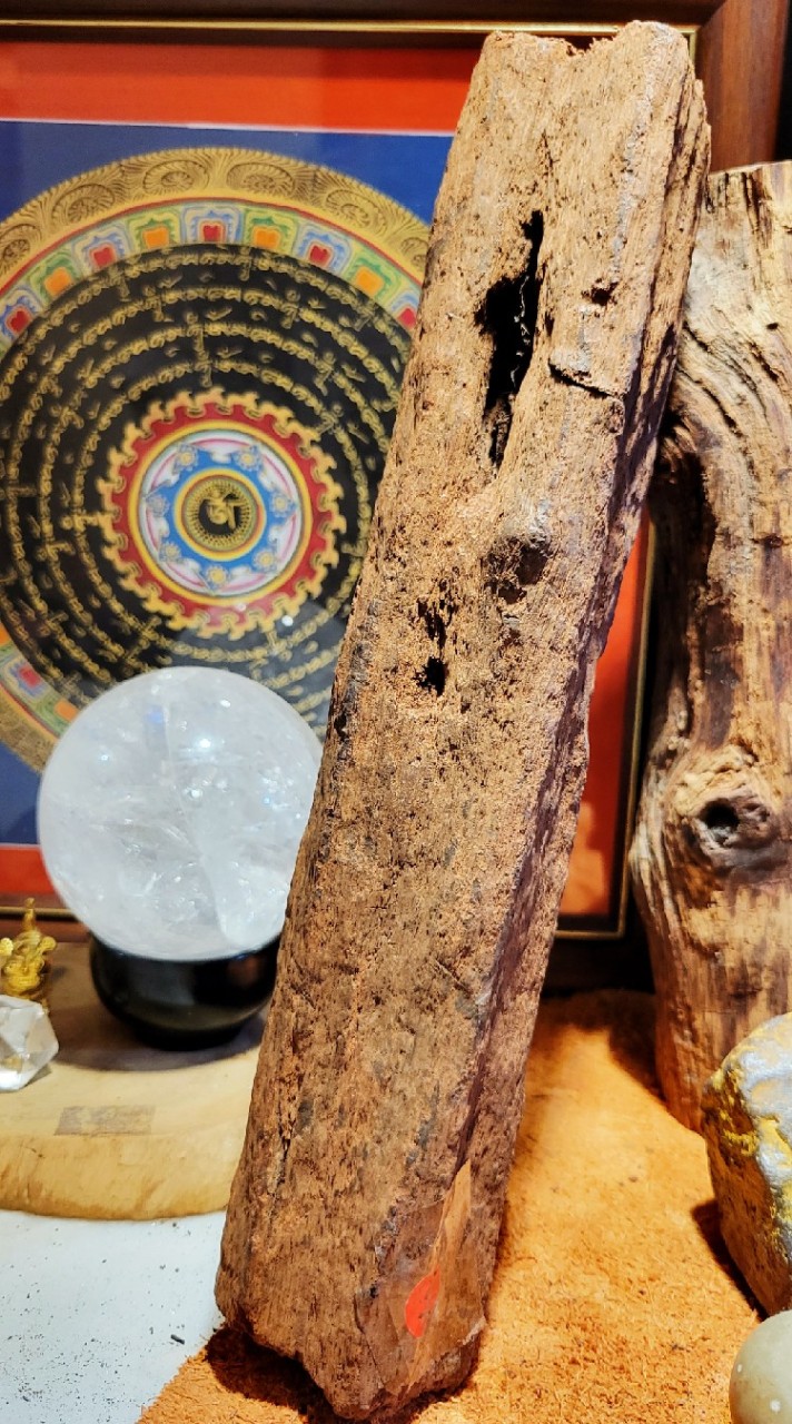 太極院（武舘%咖啡＆降真＆香品）
