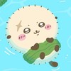ラッコ先生を愛でる会🥰🥰🥰🥰