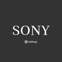 【SFG ソニーフィナンシャルグループ ソニー生命/ソニー損保/ソニー銀行】就活選考対策グループ