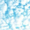 勉強、宿題わかんないとこ交代！＆雑談