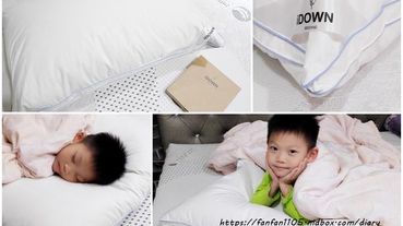 羽絨枕推薦【iDOWN BEDDING 】立體舒柔羽絨枕+舒柔雲精緻加大枕套 #五星飯店用枕 #羽絨枕 #枕頭推薦