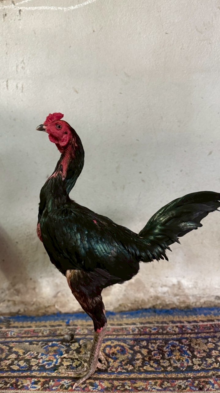 บ้านสวนธารินฟาร์ม