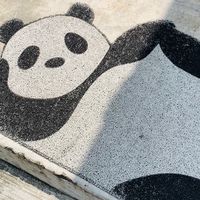 竹北/新竹 30女子 上班一條蟲下班一條龍
