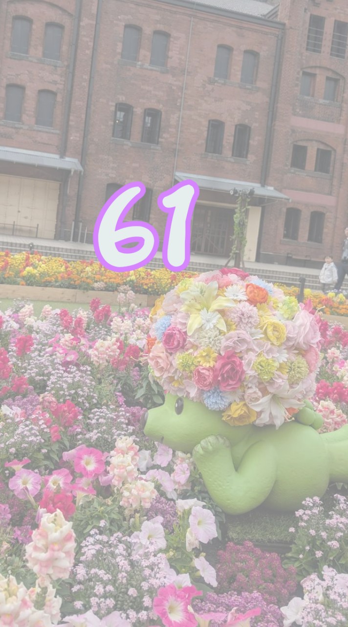 𓇼昭和61年•1986年会𓇼